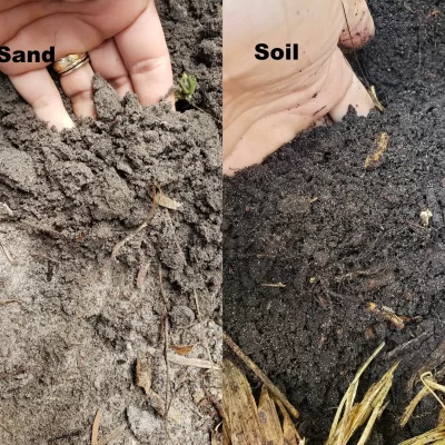 sand_vs_soil_pic sand_vs_soil_pic